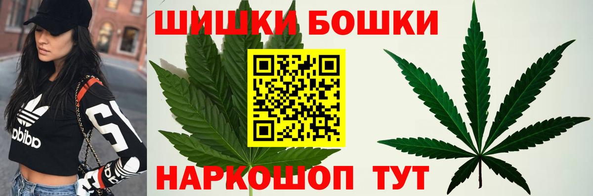 Конопля сатива Боровичи