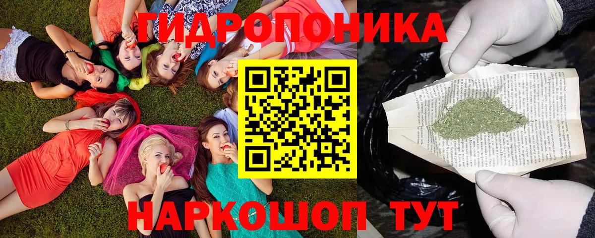 Канабис VHQ  Вход с VPN  МАРИХУАНА ГИДРОПОН  МАРИХУАНА MAZAR  Боровичи 